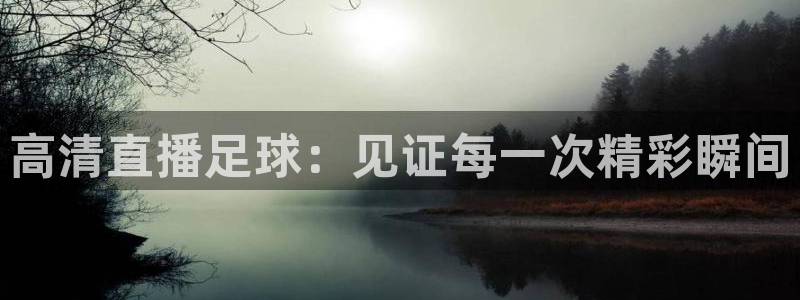 高清直播足球：见证每一次精彩瞬间
