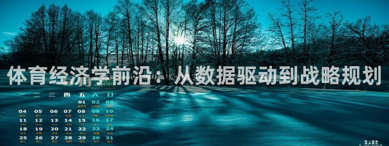 体育经济学前沿：从数据驱动到战略规划