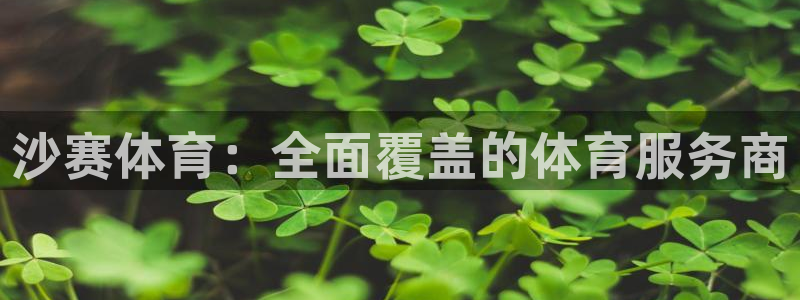 沙赛体育：全面覆盖的体育服务商