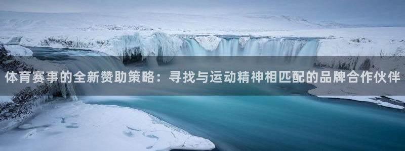 体育赛事的全新赞助策略：寻找与运动精神相匹配的品牌合作伙伴
