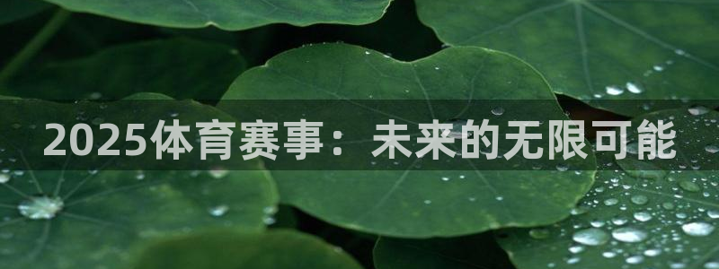 2025体育赛事：未来的无限可能