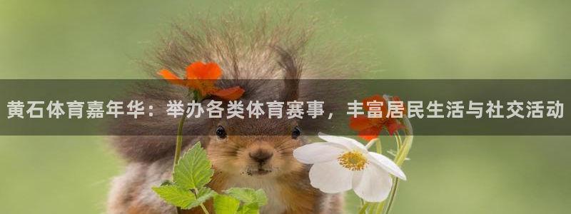 黄石体育嘉年华：举办各类体育赛事，丰富居民生活与社交活动