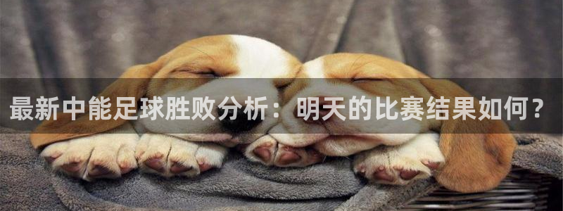 最新中能足球胜败分析：明天的比赛结果如何？