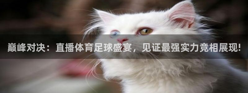 巅峰对决：直播体育足球盛宴，见证最强实力竞相展现!