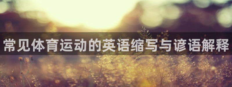 常见体育运动的英语缩写与谚语解释