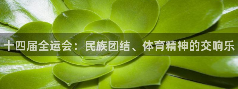 十四届全运会：民族团结、体育精神的交响乐
