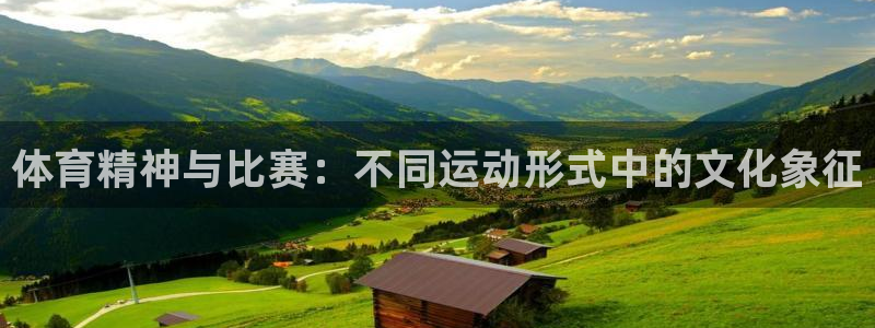 体育精神与比赛：不同运动形式中的文化象征