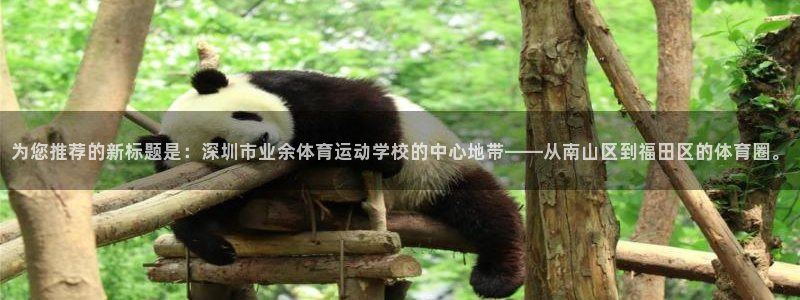 为您推荐的新标题是：深圳市业余体育运动学校的中心地带——从南山区到福田区的体育圈。