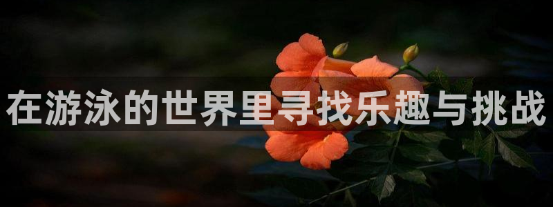 在游泳的世界里寻找乐趣与挑战