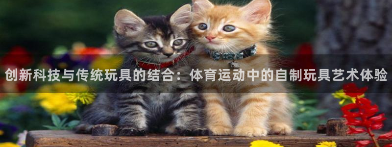 创新科技与传统玩具的结合：体育运动中的自制玩具艺术体验