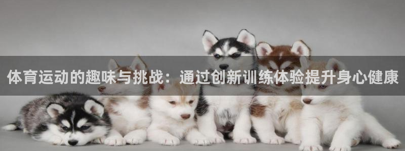 体育运动的趣味与挑战：通过创新训练体验提升身心健康