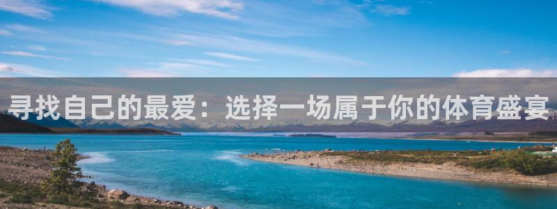 寻找自己的最爱：选择一场属于你的体育盛宴