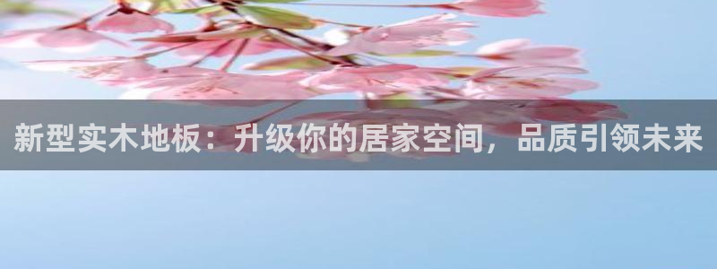 新型实木地板：升级你的居家空间，品质引领未来