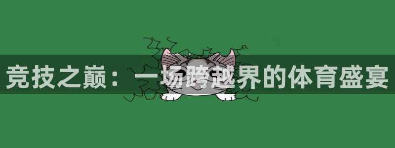 竞技之巅：一场跨越界的体育盛宴