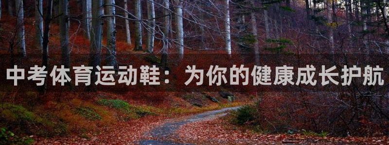 中考体育运动鞋：为你的健康成长护航