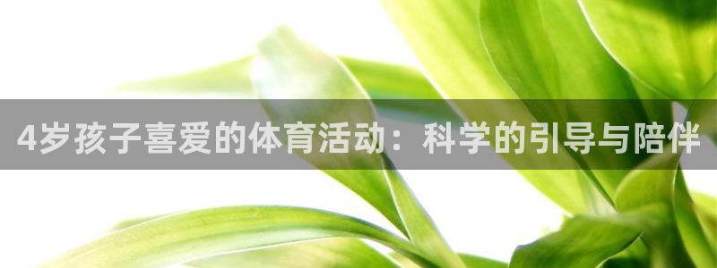4岁孩子喜爱的体育活动：科学的引导与陪伴