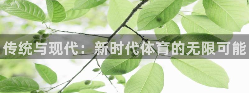 传统与现代：新时代体育的无限可能